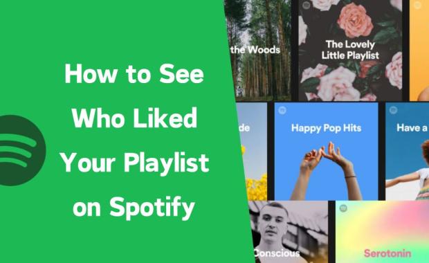 How to See Who Liked Your Playlist on Spotify (6 Best Ways)