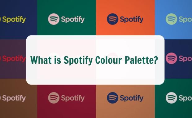 What is Spotify Colour Palette? How to Create Your Own